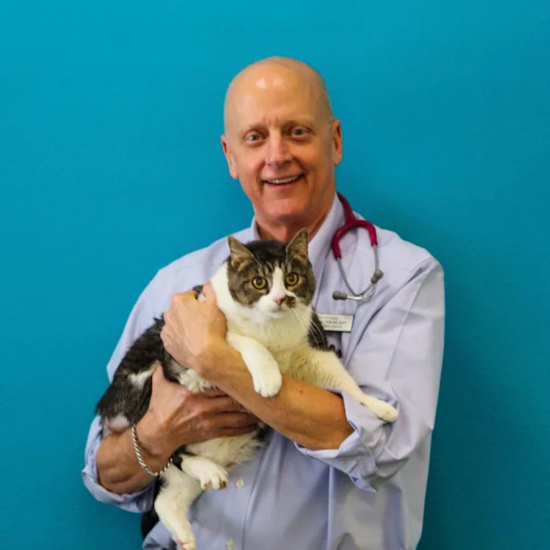 Dr. Bill Folger's staff photo from Memorial Cat Hospital. He is petting a white cat on his lap. Dr. Bill Folger's staff photo from Memorial Cat Hospital. He is petting a white cat on his lap.