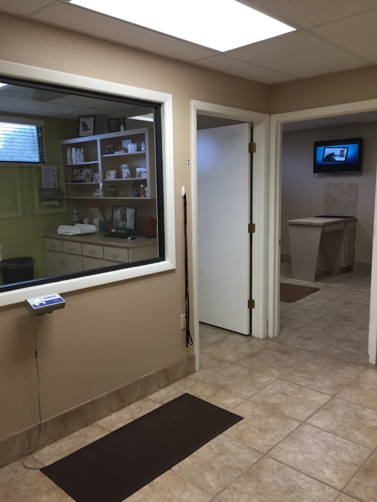 All Creatures - Florida Hallway