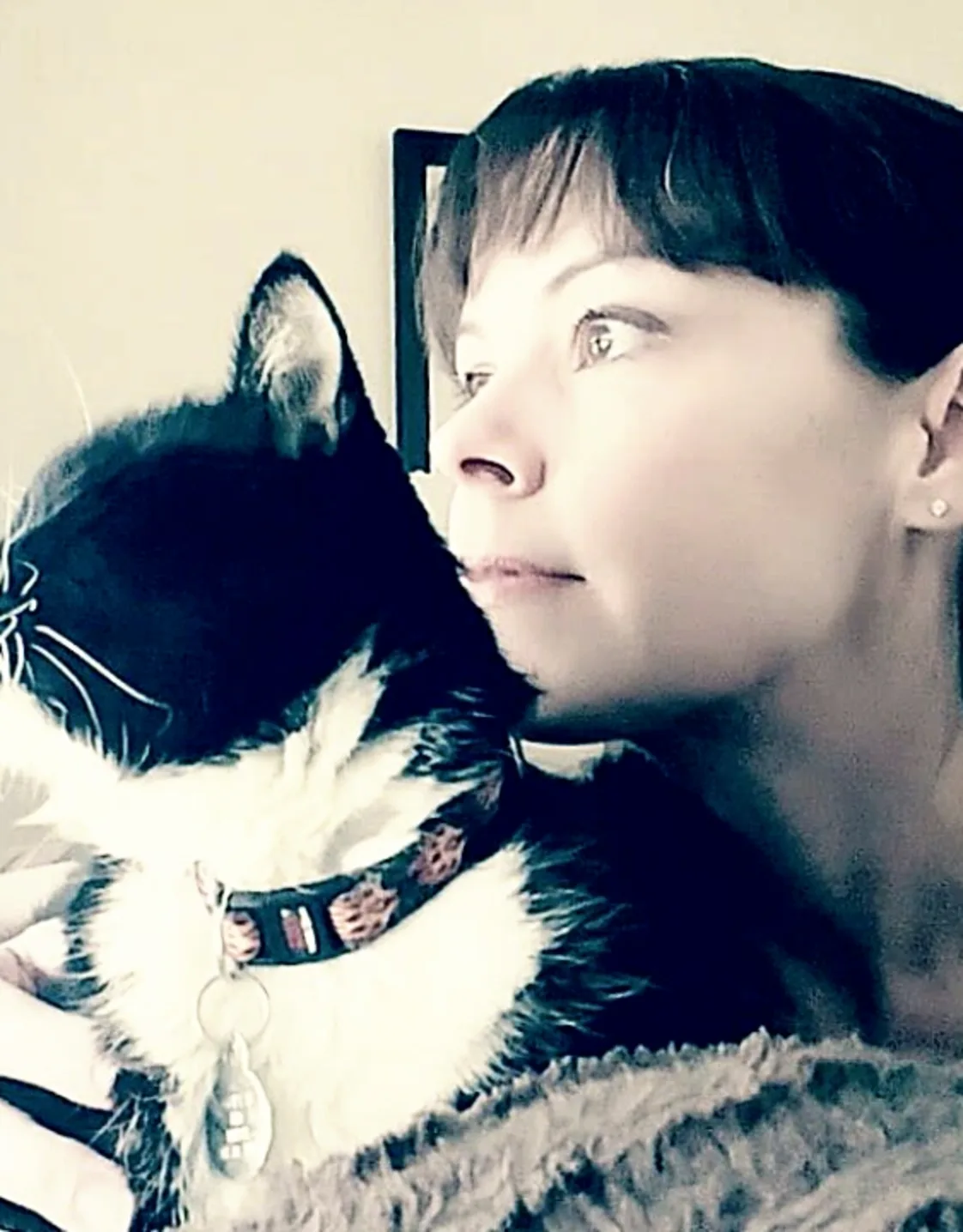 Arroyo Veterinary Center Jennifer Serena Arroyo Veterinary Center Jennifer Serena