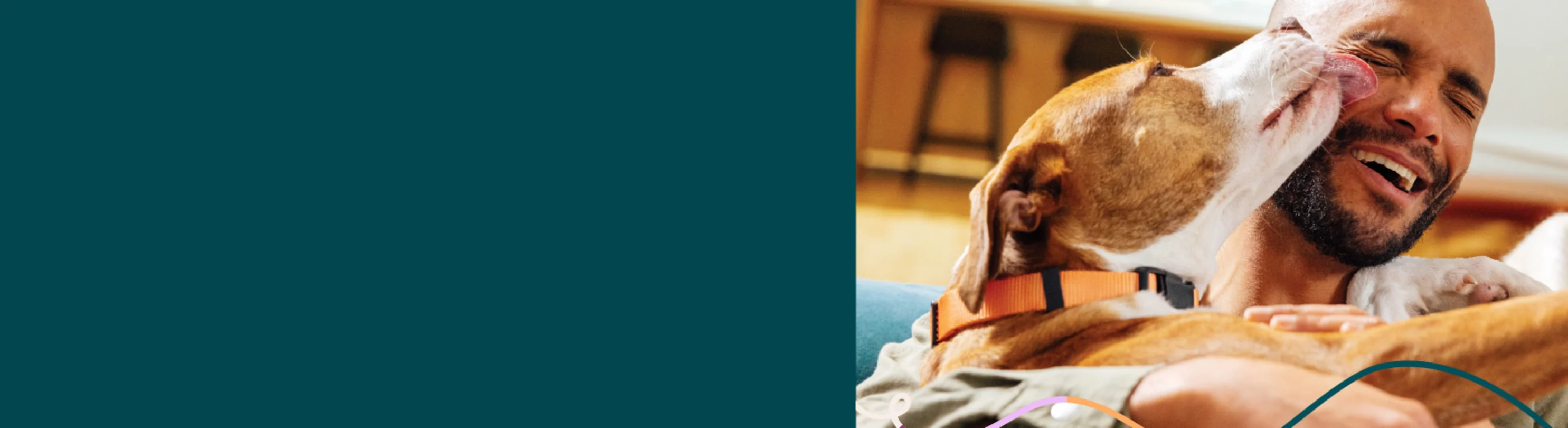 A dog sitting and licking its owner's face in excitement A dog sitting and licking its owner's face in excitement