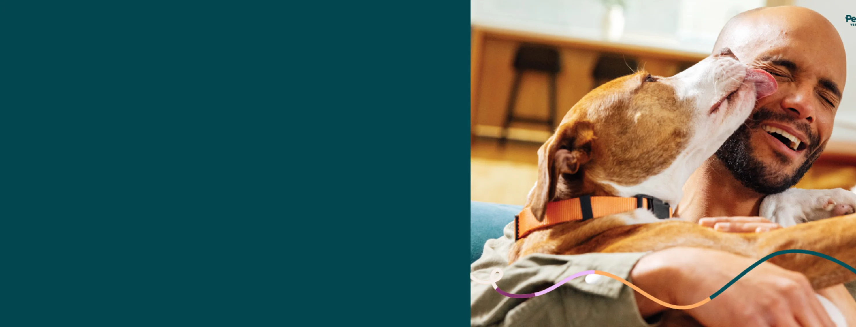 A dog sitting and licking its owner's face in excitement A dog sitting and licking its owner's face in excitement