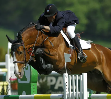 Rider with Horse Jumping During a Show