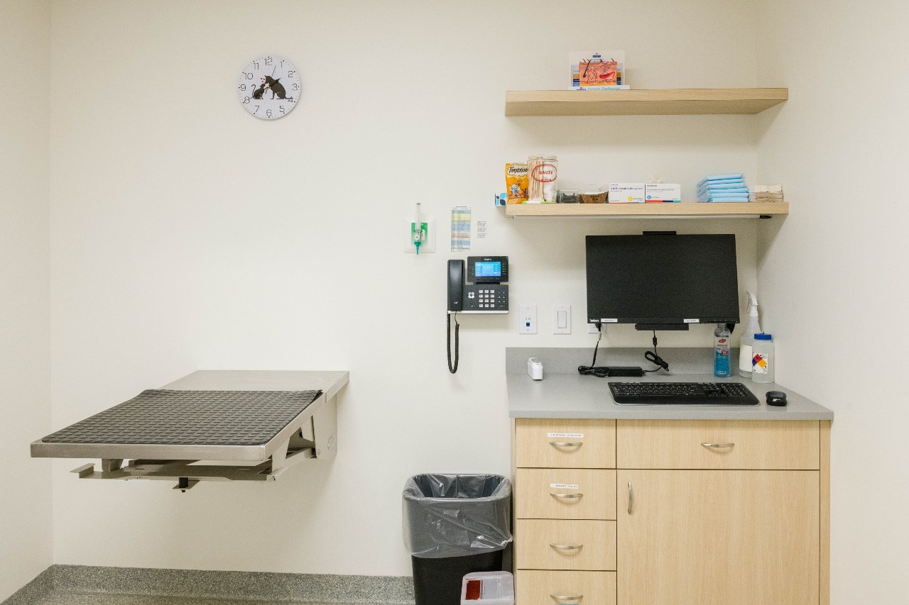 Exam room in West Village Veterinary Hospital.