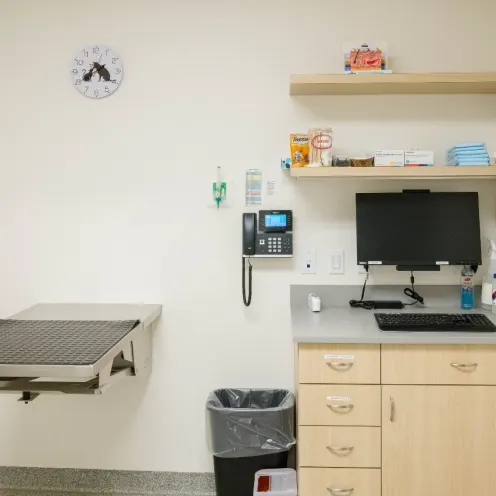 Exam room in West Village Veterinary Hospital.