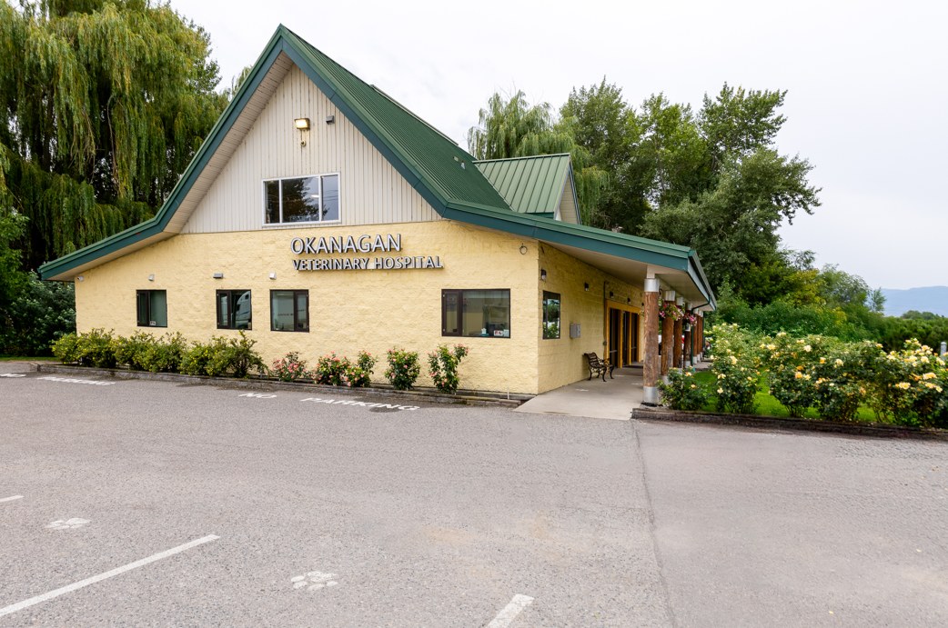 Okanagan Veterinary Hospital Exterior