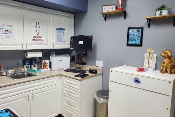 Lake Chatuge Animal Hospital Work Station