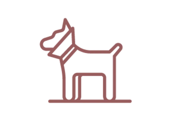 Icon of Dog collar for Coffee Road Animal Hospital Icon of Dog collar for Coffee Road Animal Hospital