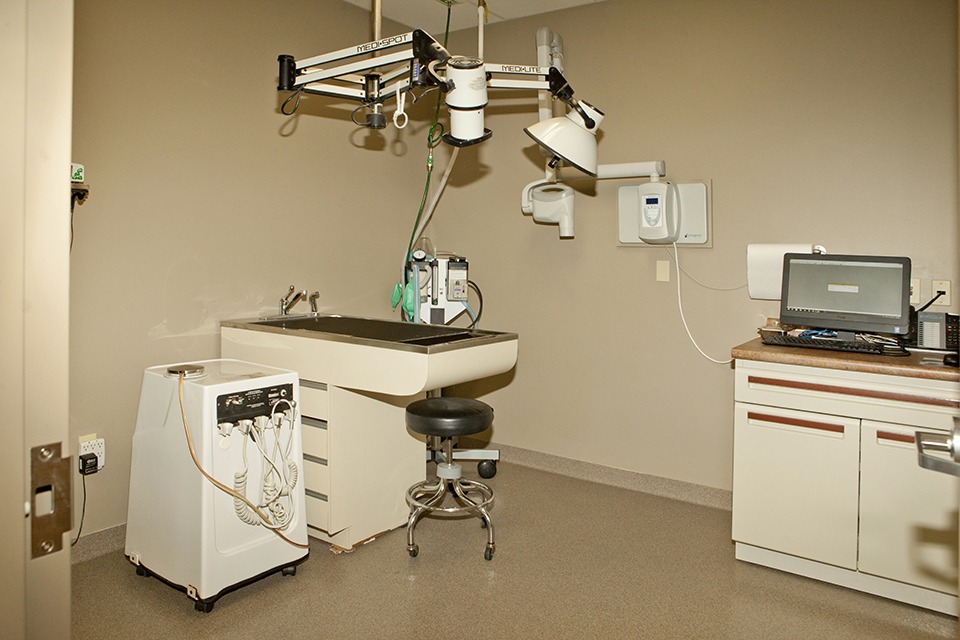 Dental Suite