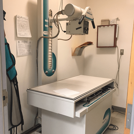 Bolton Animal Hospital Xray