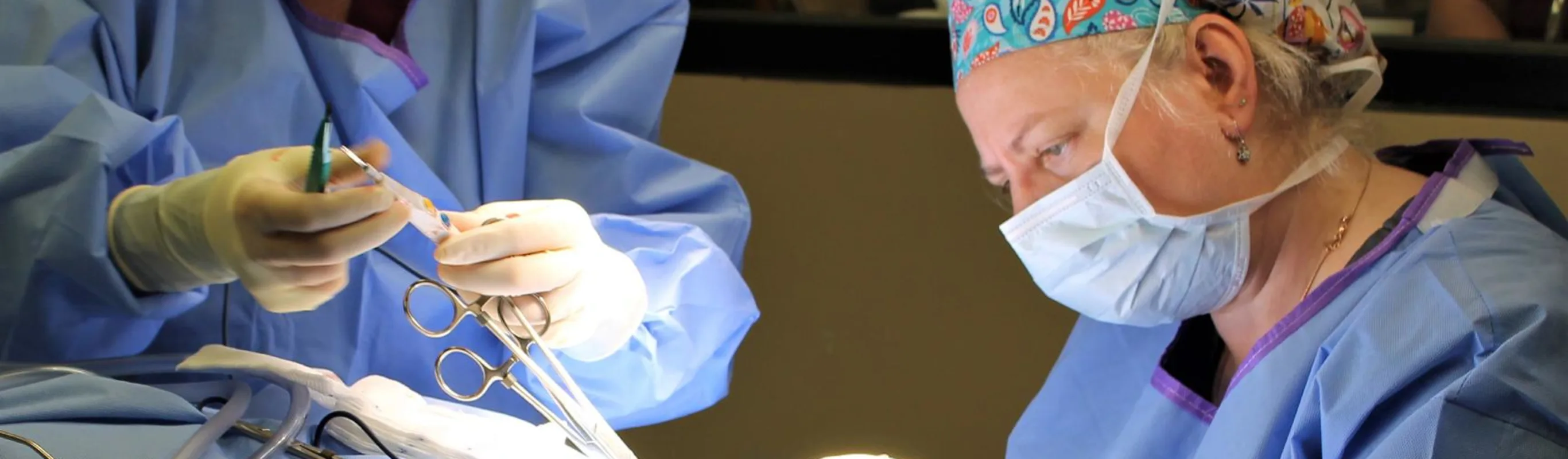 Vets performing surgery. Vets performing surgery.