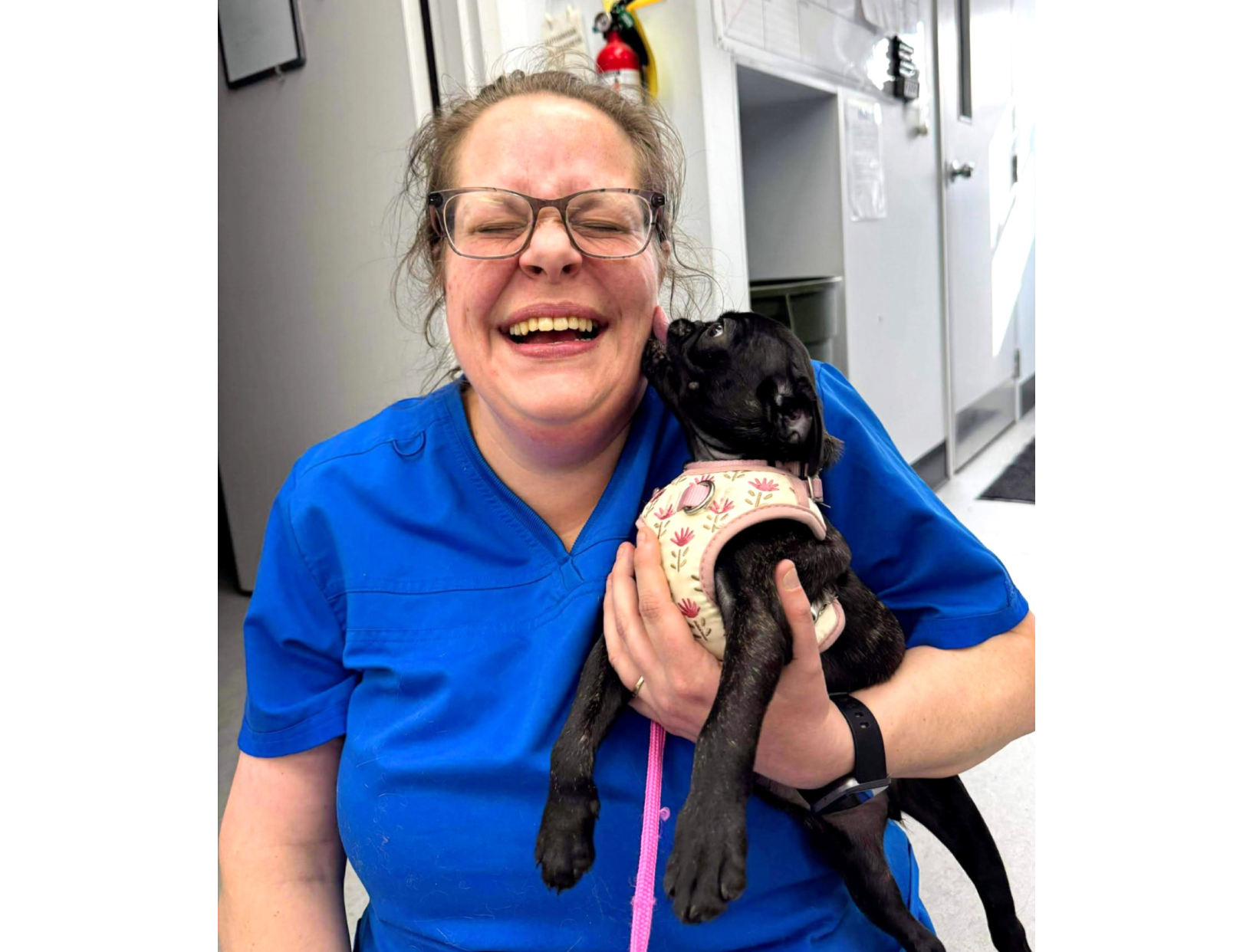 A support staff member of Valley Veterinary Hospital holding a puppy