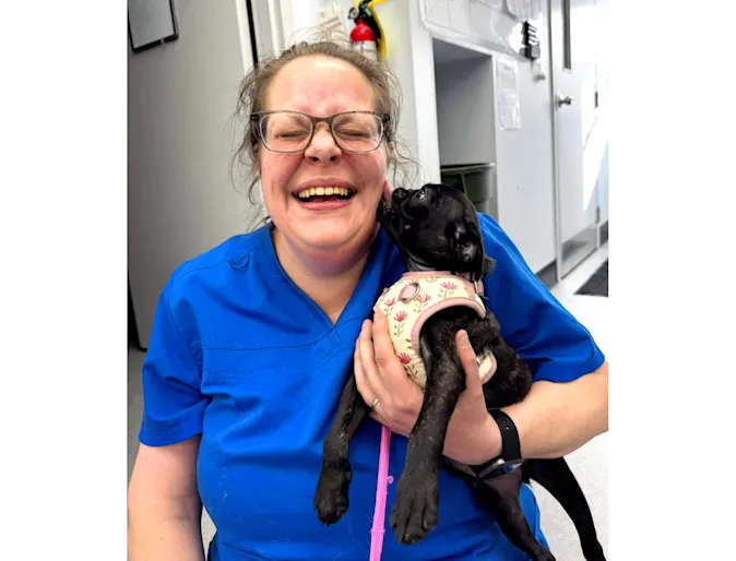 A support staff member of Valley Veterinary Hospital holding a puppy A support staff member of Valley Veterinary Hospital holding a puppy