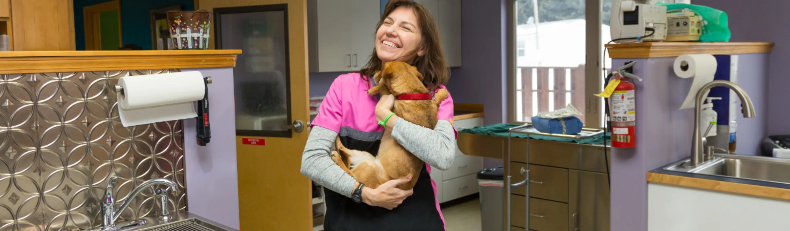 Staff member holding and caring for a small dog