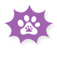 Purple Icon - Dog Paw