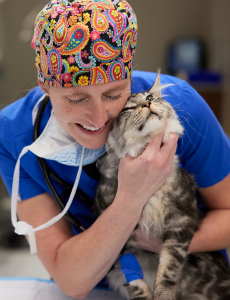 Staff member hugging cat
