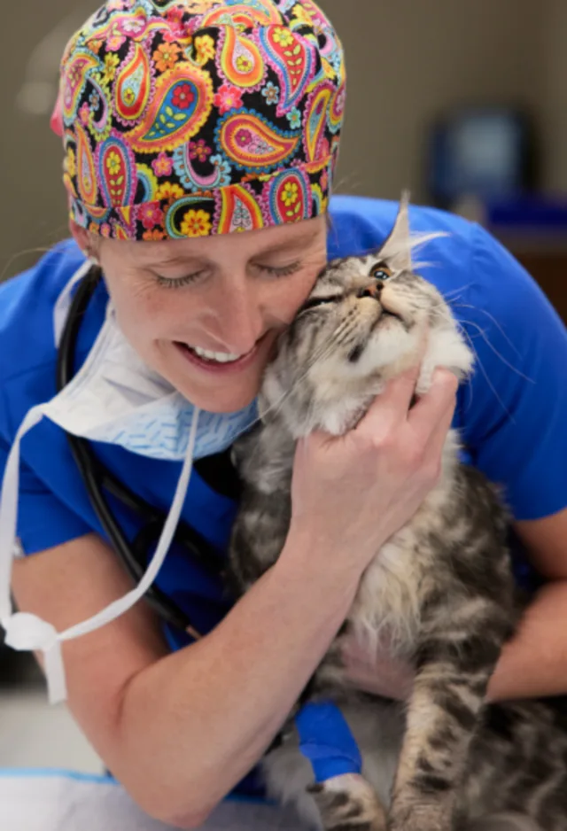 Staff member hugging cat Staff member hugging cat