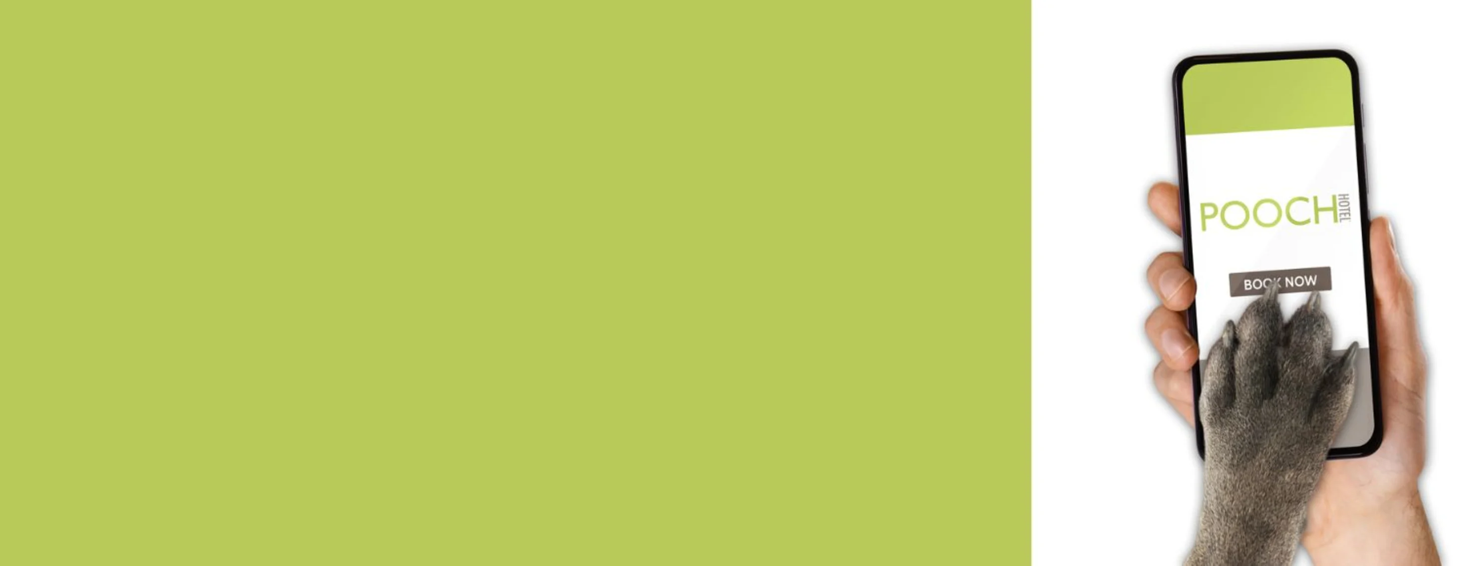 Smart phone showing mobile app being controlled by a dog paw. Smart phone showing mobile app being controlled by a dog paw.