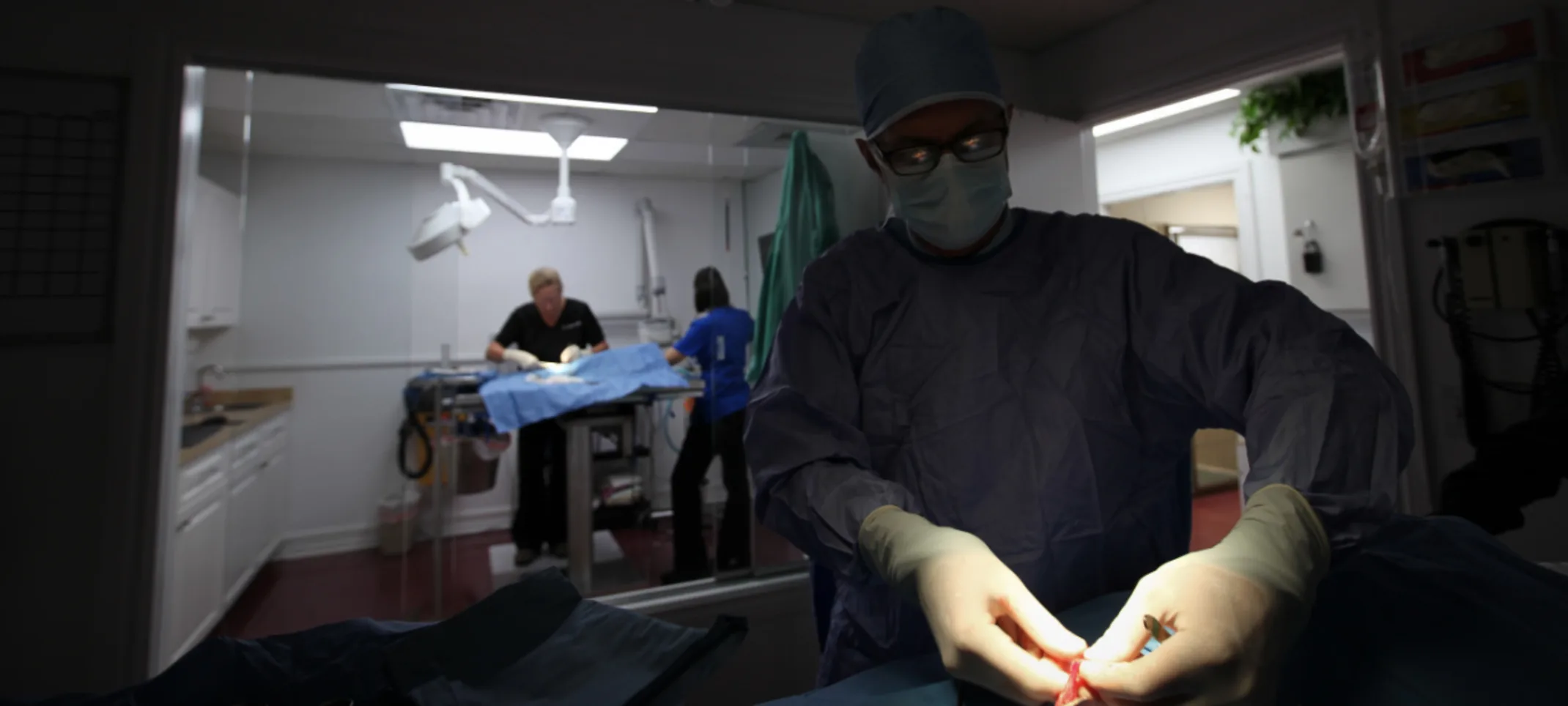 Veterinarians preforming surgery at The Animalife Veterinary Center Veterinarians preforming surgery at The Animalife Veterinary Center