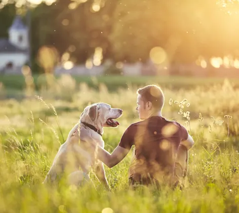 Owner with golden retriever sitting in a field Owner with golden retriever sitting in a field