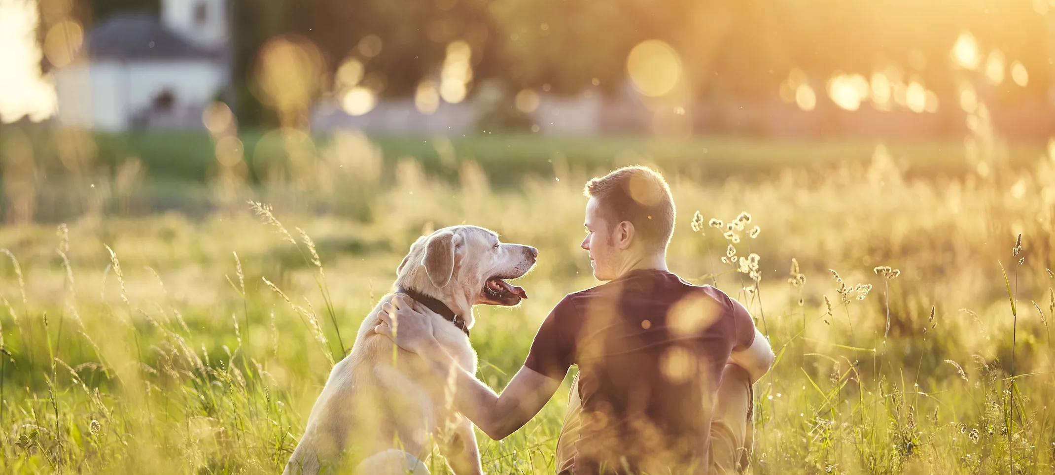 Owner with golden retriever sitting in a field Owner with golden retriever sitting in a field