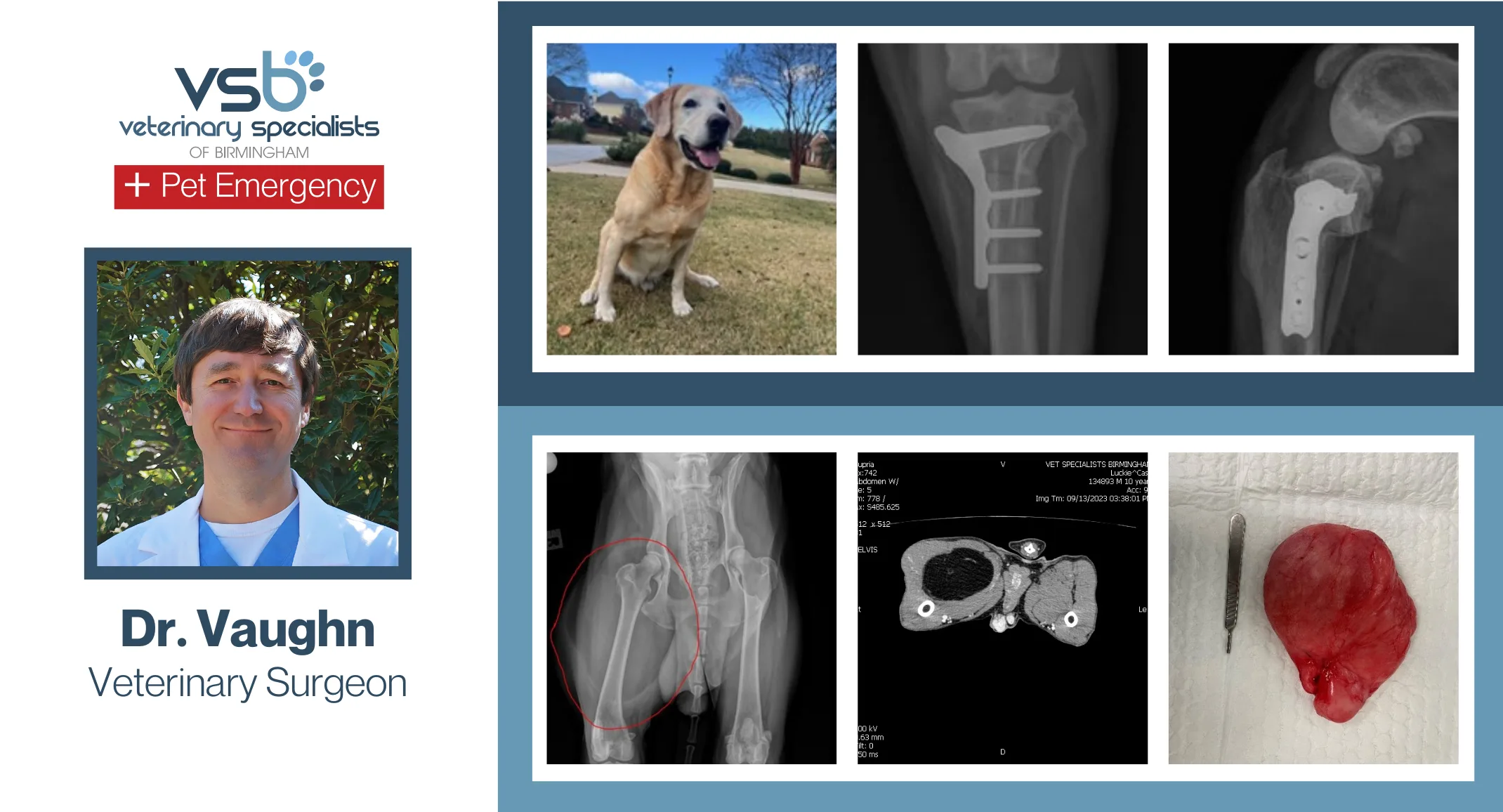 Case TPLO Surgery Case TPLO Surgery