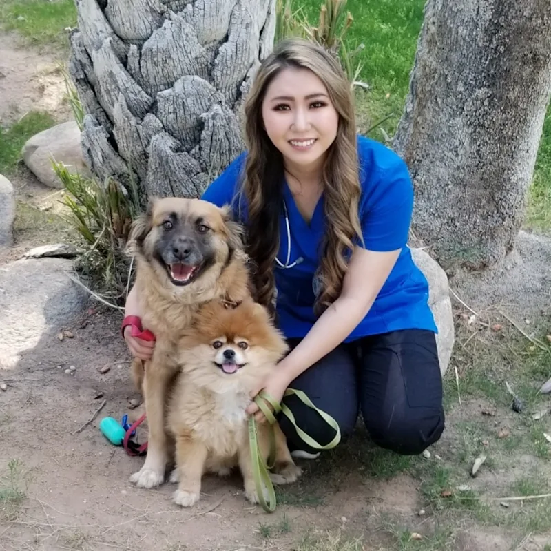 Julia Corsey Julia Corsey