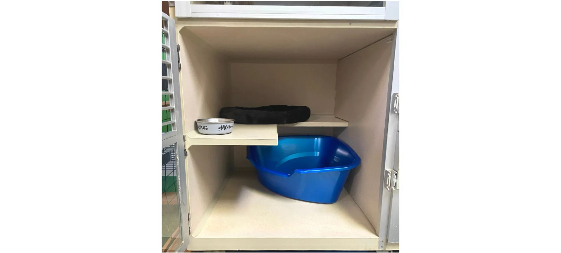 Studio space with litter box, bed and bowl Studio space with litter box, bed and bowl