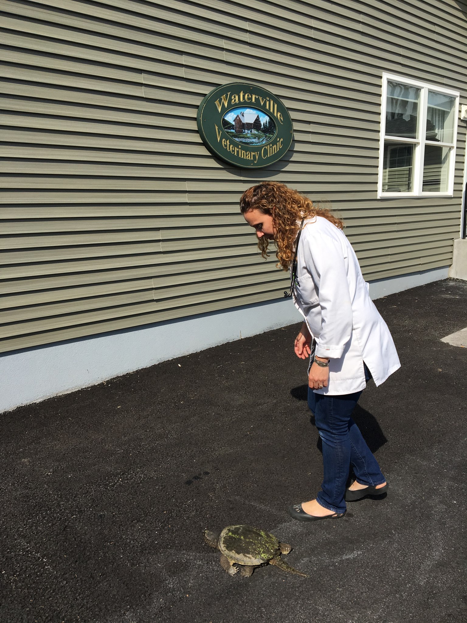 Veterinarian in the parking lot with a turtle
