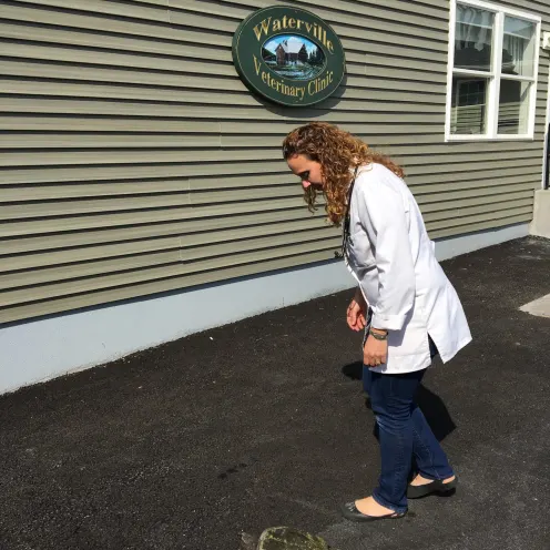 Veterinarian in the parking lot with a turtle