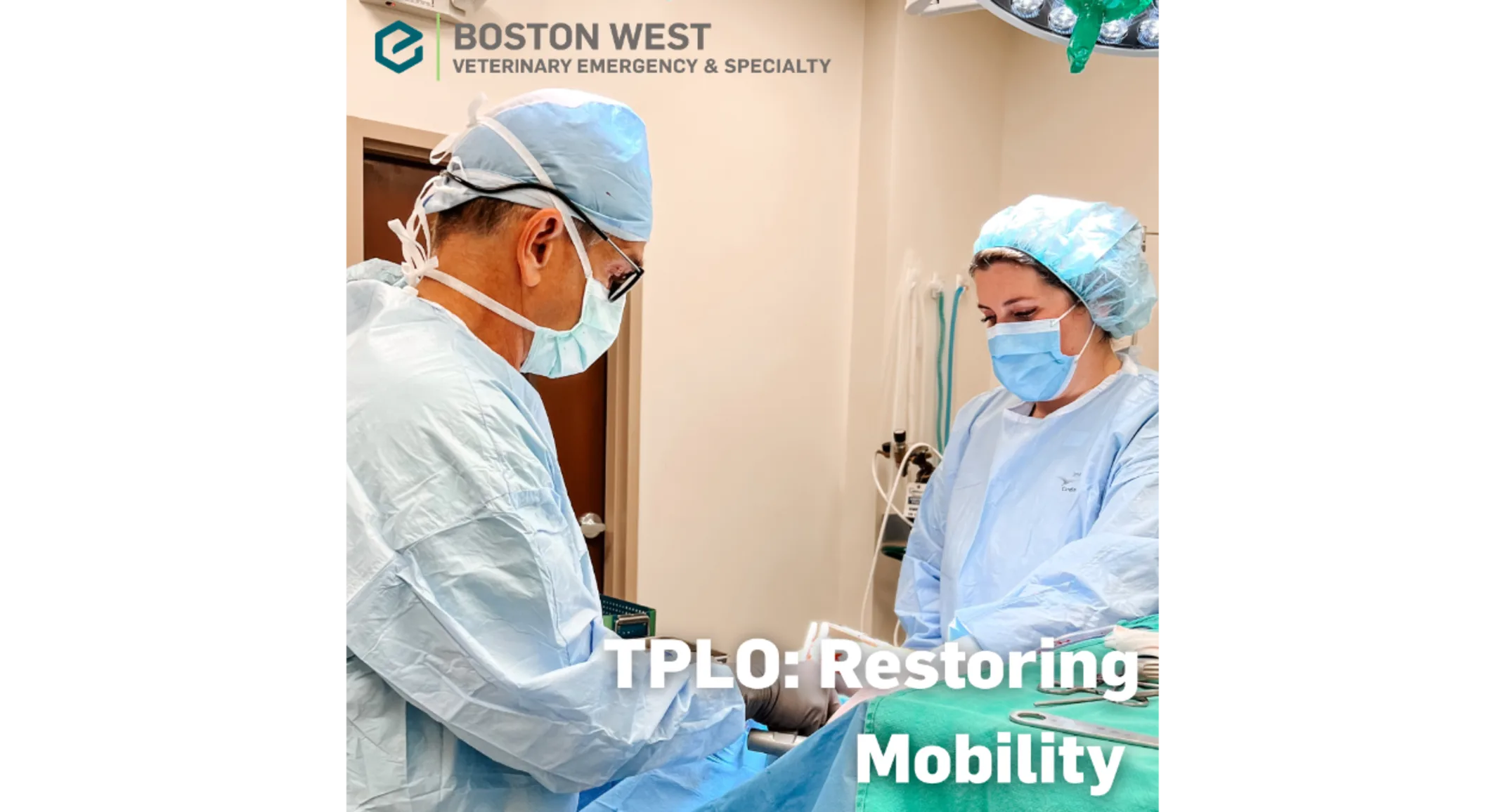 TPLO Surgery at Boston West Helps Pets Heal After Cruciate Ligament Injuries TPLO Surgery at Boston West Helps Pets Heal After Cruciate Ligament Injuries