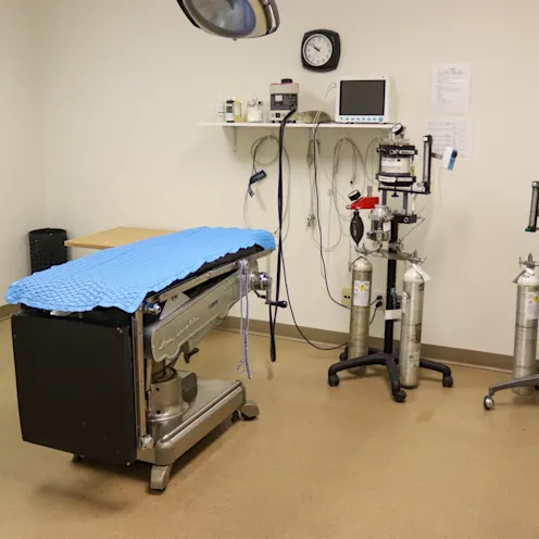 Surgical Suite Surgical Suite