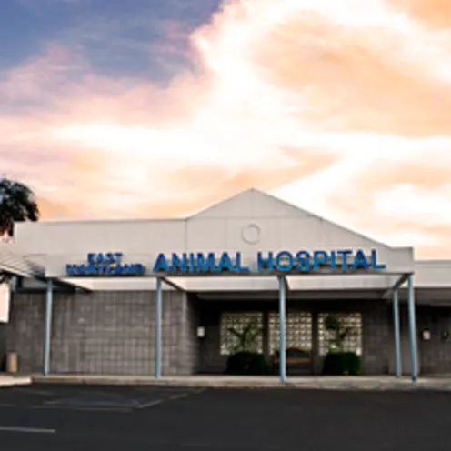 Hospital Exterior Hospital Exterior