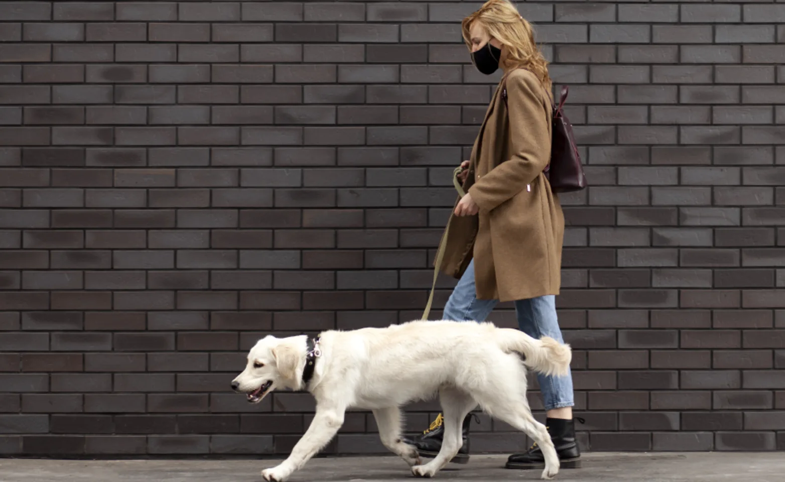 Woman with a face mask on walking her dog Woman with a face mask on walking her dog