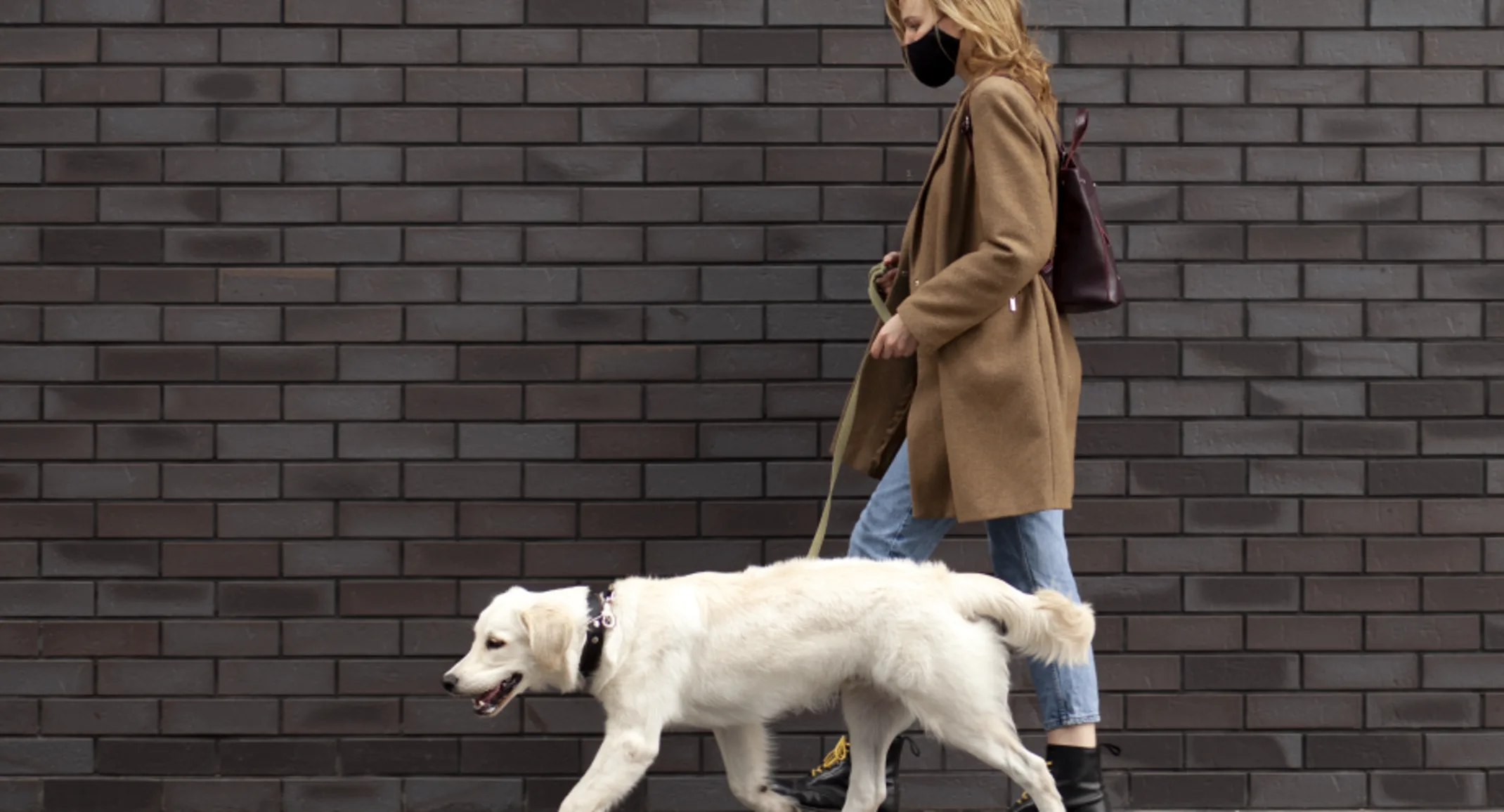 Woman with a face mask on walking her dog Woman with a face mask on walking her dog