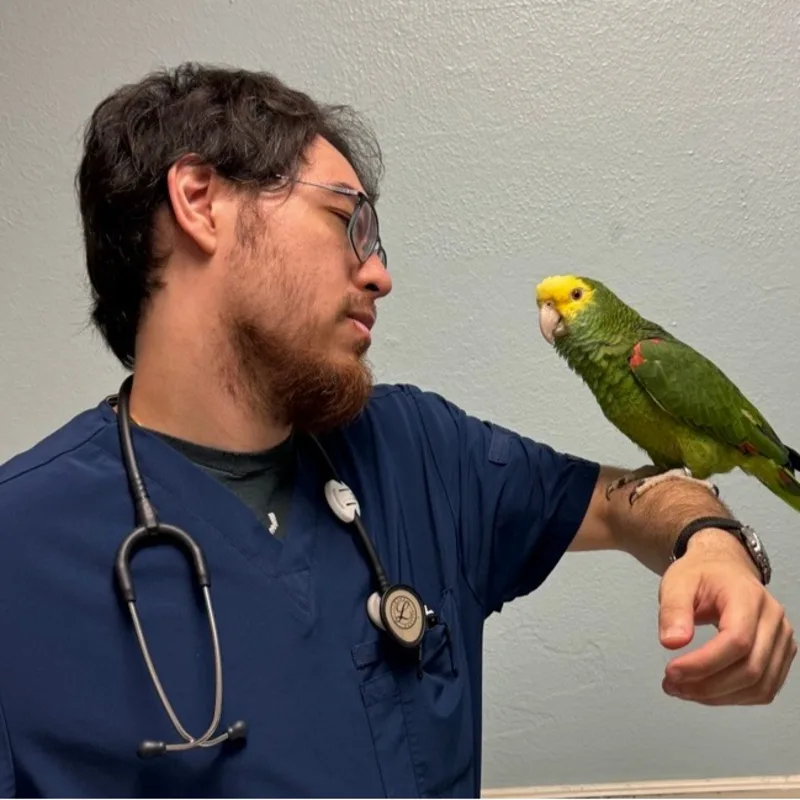 Andrew Smith Andrew Smith