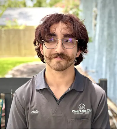 Seth Seth