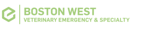 Boston West Veterinary Emergency & Specialty Logo