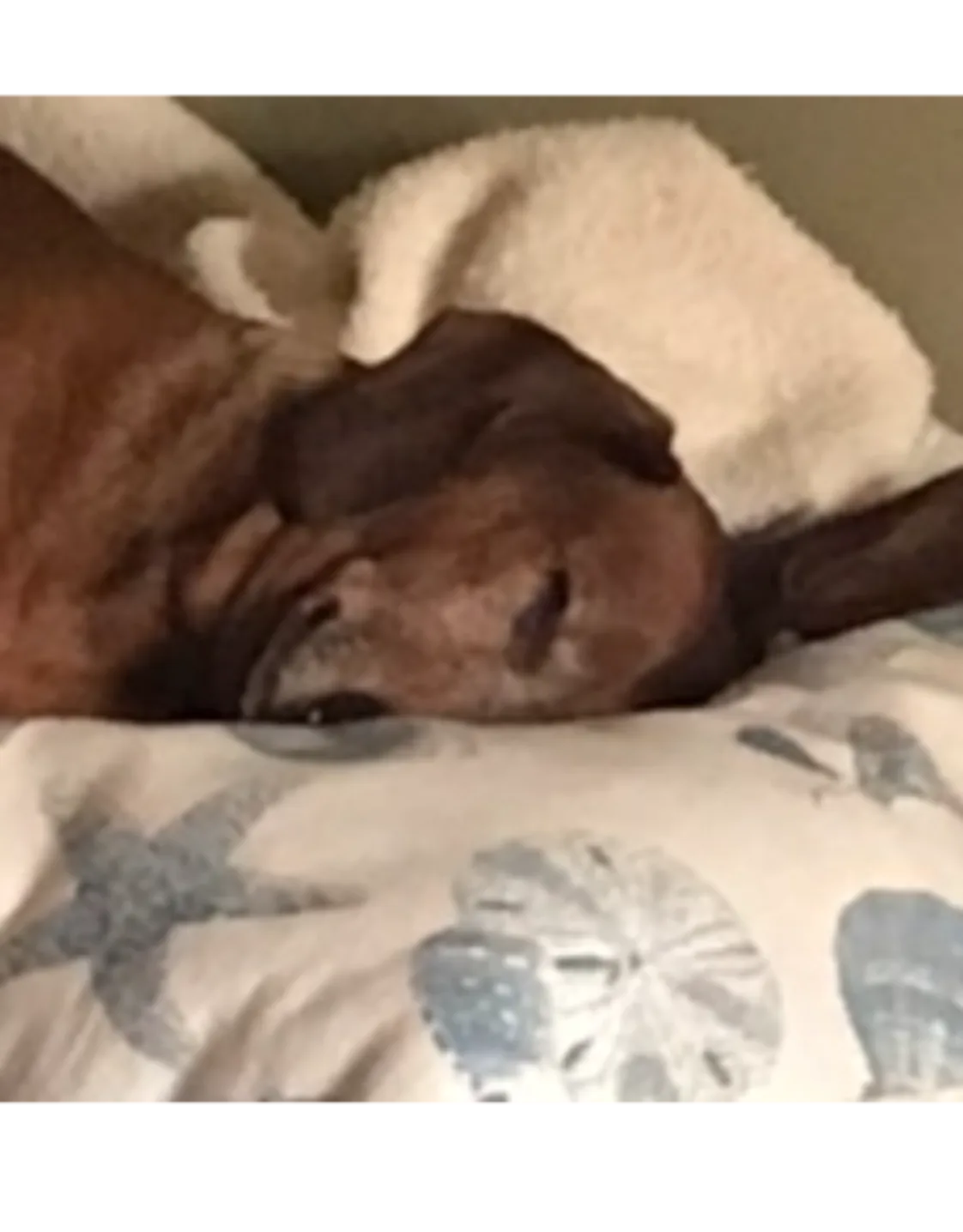 Fritz Werneke Fritz Werneke