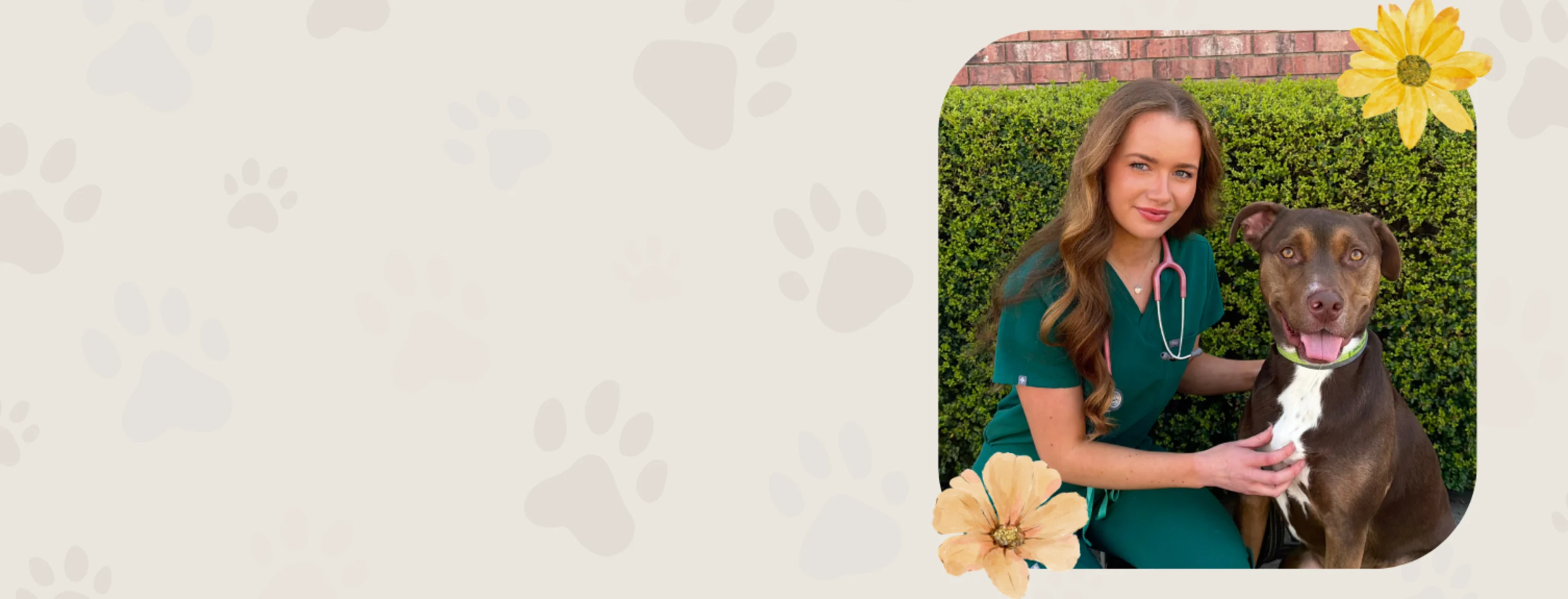 Welcome Dr. Bain to 303 Animal Clinic Welcome Dr. Bain to 303 Animal Clinic