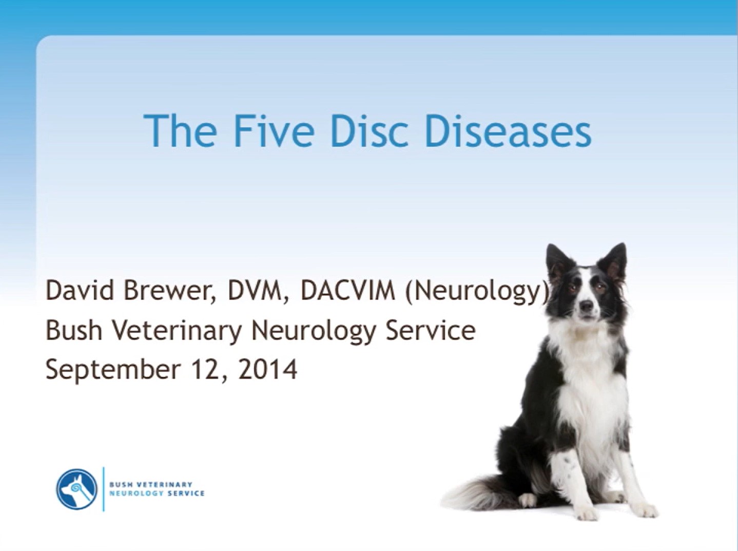 The 5 disc diseases presented by Dr. Brewer