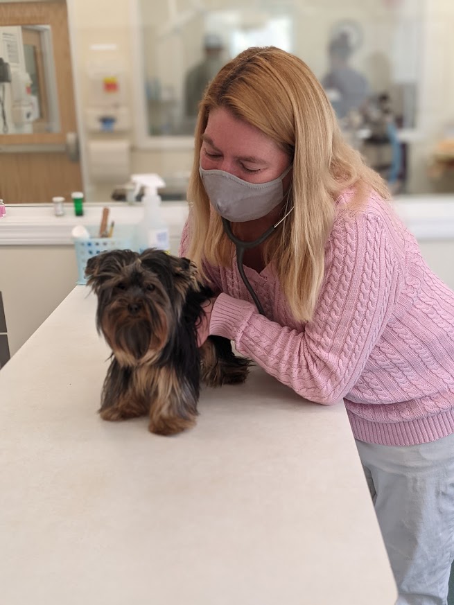 Staff with small dog patient at Henniker Veterinary Hospital