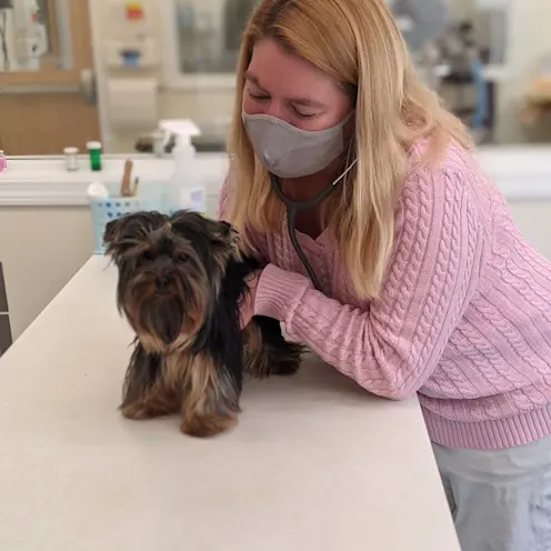 Staff with small dog patient at Henniker Veterinary Hospital Staff with small dog patient at Henniker Veterinary Hospital