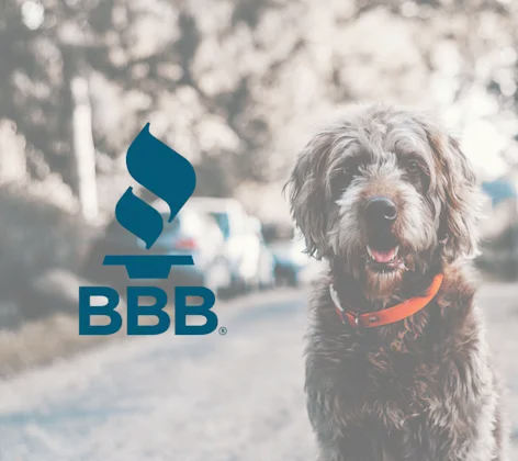 BBB BBB