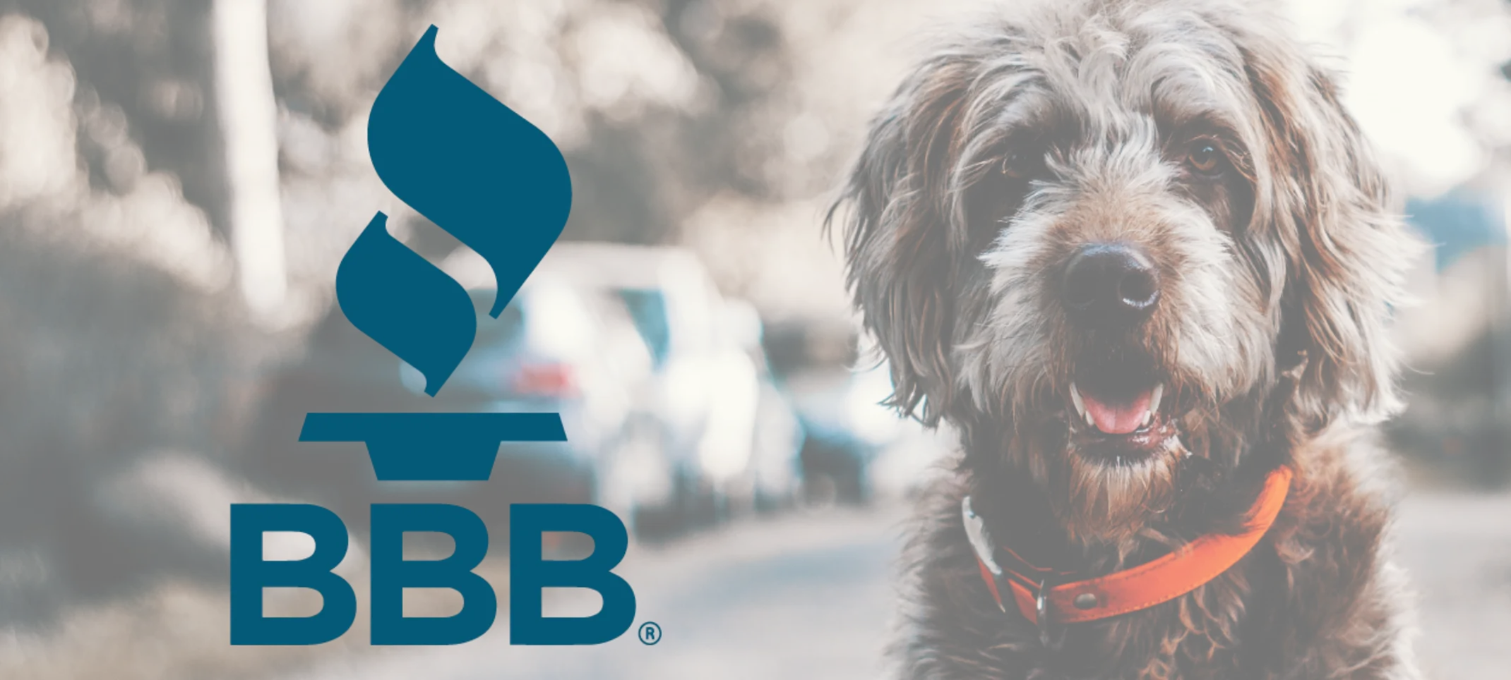 BBB BBB
