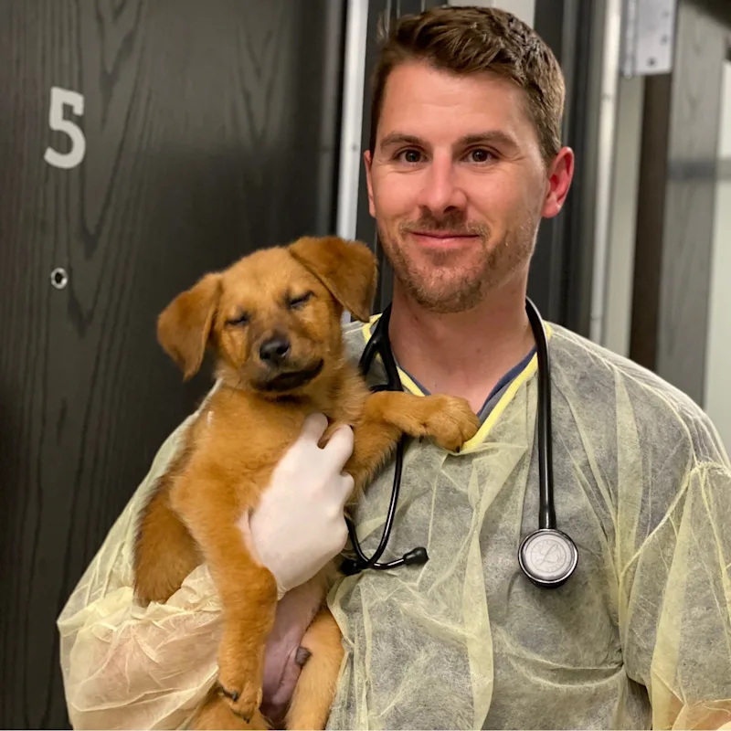 Dr. Jim Hardiman Dr. Jim Hardiman