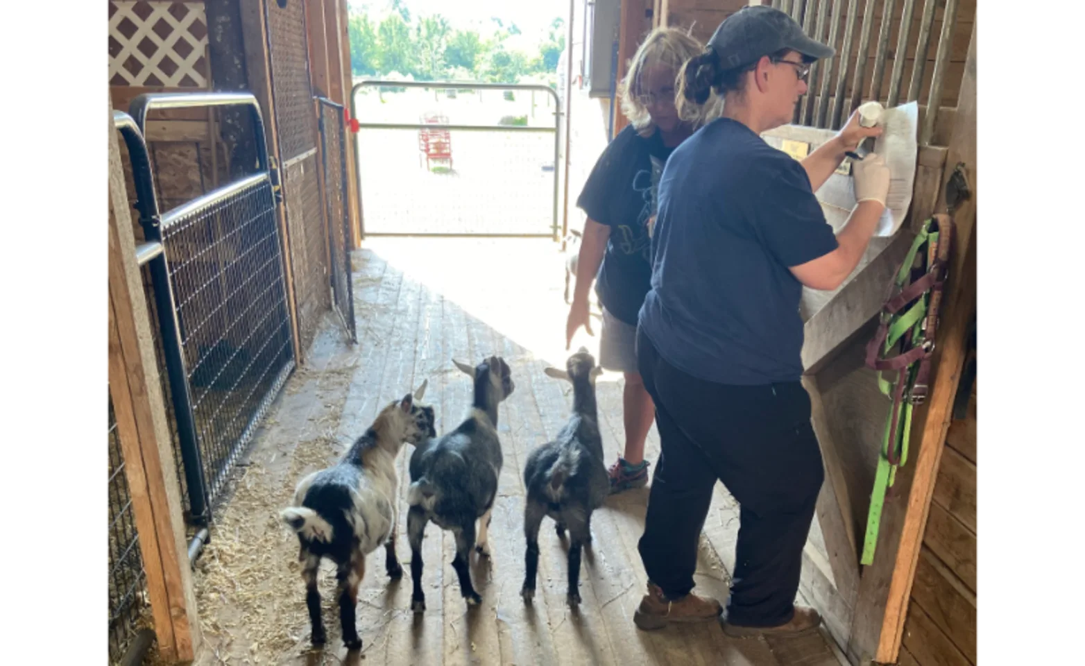 Staff with Baby Goats Staff with Baby Goats