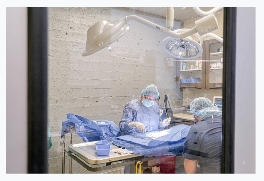 Pet Samaritan Clinic