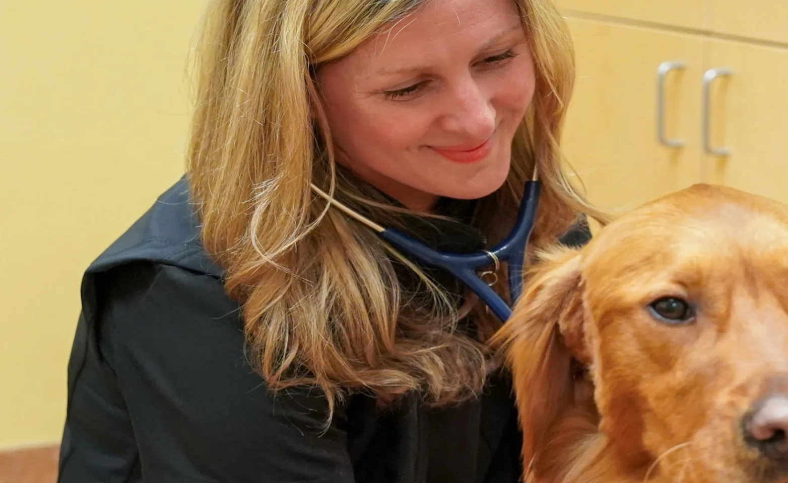 Peak Veterinary Referral Center About Us Image Peak Veterinary Referral Center About Us Image