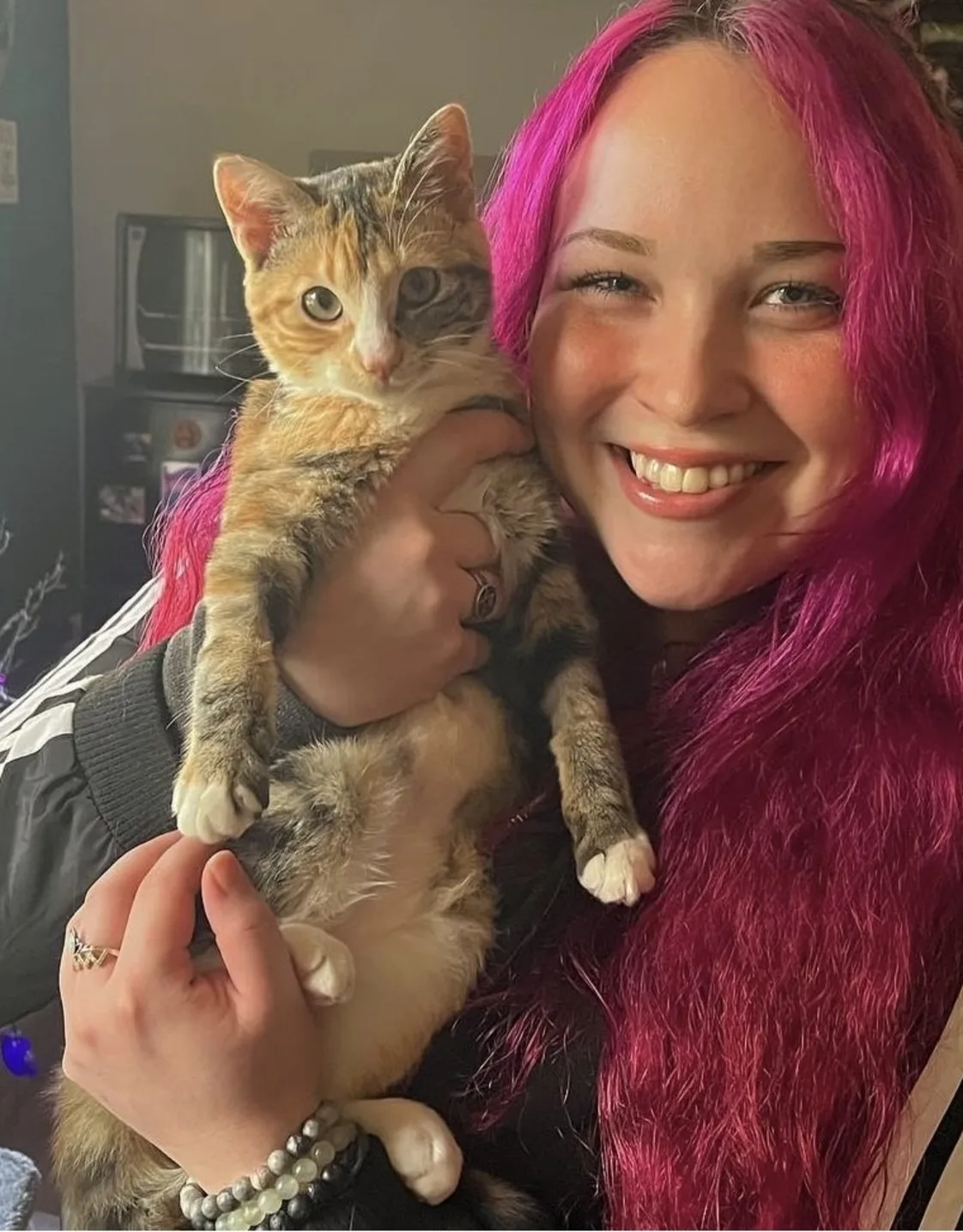 Ari Ari