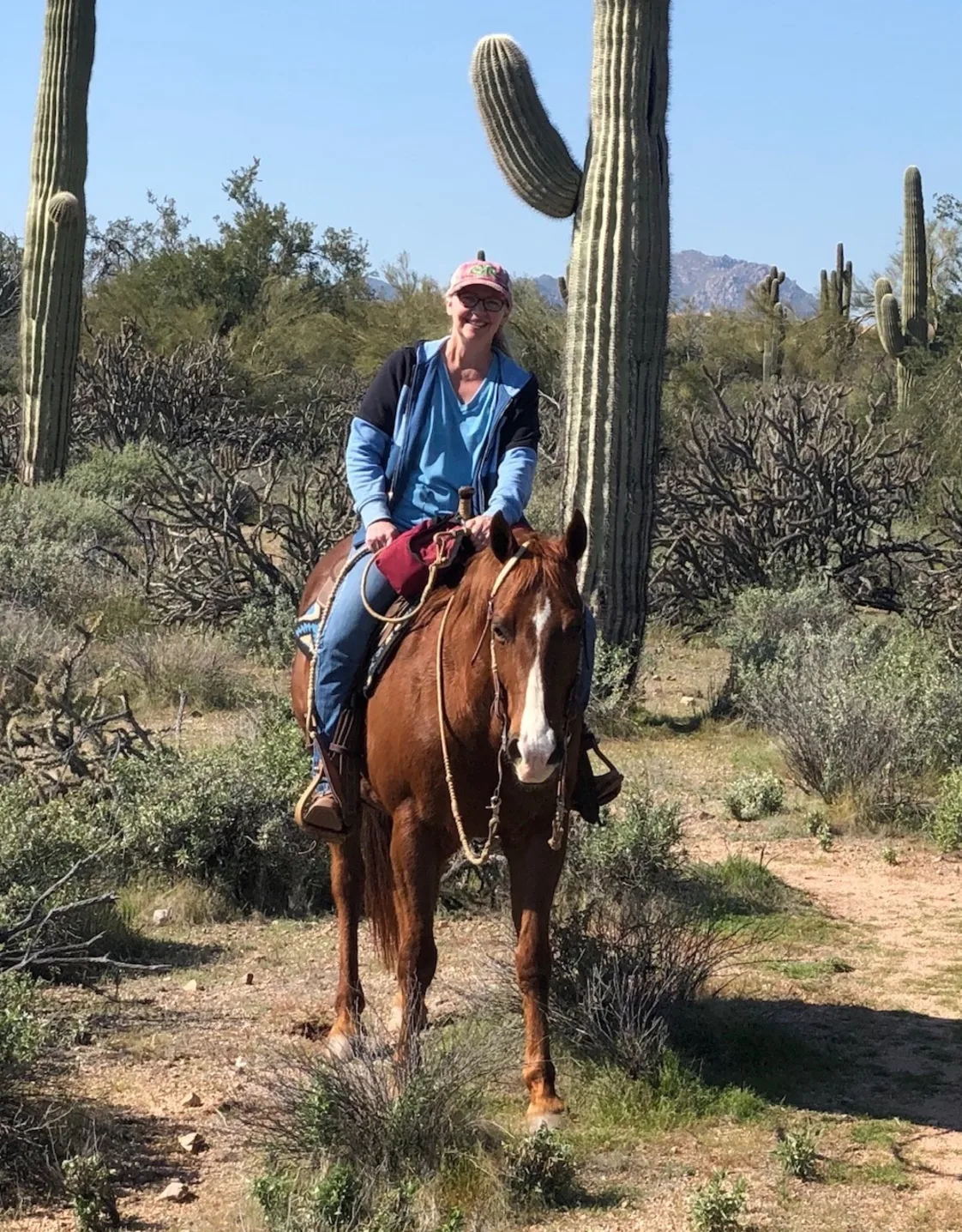 Dr. Julie St. Peters Dr. Julie St. Peters